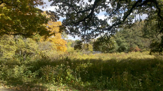 photo for blog post on Autumn