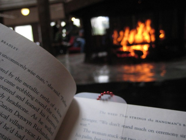reading-by-the-fire